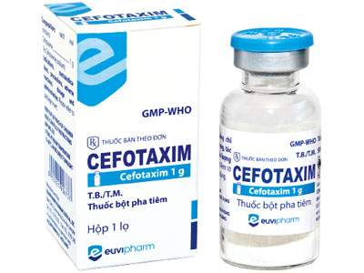 cefotaxim-2