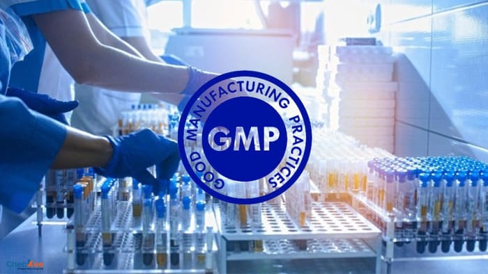 gmp-trong-nganh-duoc