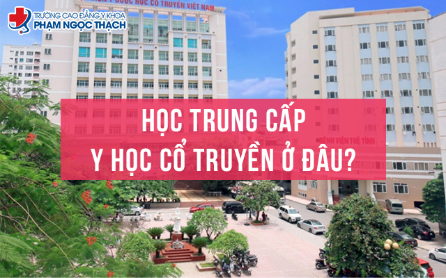 Học ngành Y học Cổ truyền ở đâu đạt hiệu quả?