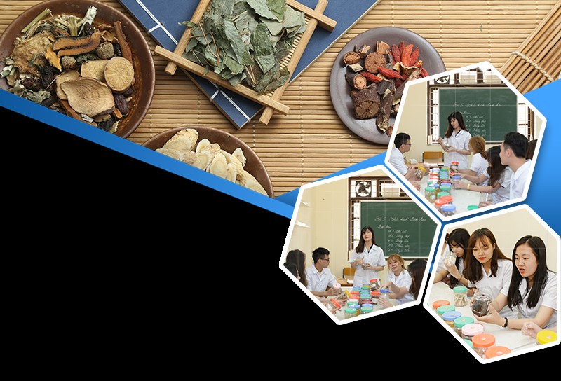 Nộp hồ sơ xét tuyển Trung cấp Y học cổ truyền ở đâu?