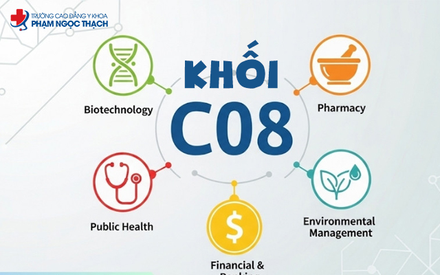 Khối C08 l&agrave; tổ hợp kết hợp giữa m&ocirc;n khoa học x&atilde; hội v&agrave; khoa học tự nhi&ecirc;n, gi&uacute;p đ&aacute;nh gi&aacute; to&agrave;n diện khả năng tư duy, ph&acirc;n t&iacute;ch v&agrave; kiến thức khoa học của th&iacute; sinh