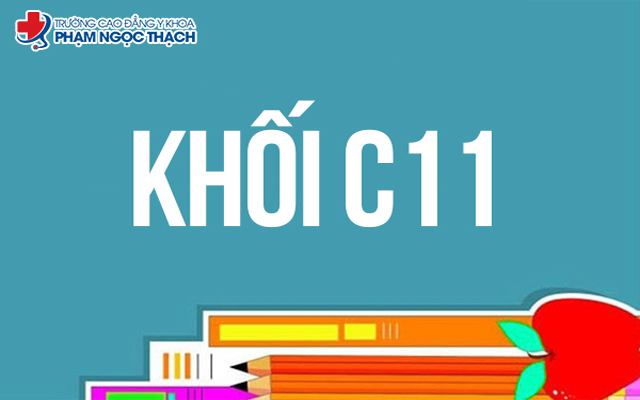 Khối C11 gồm 3 môn thi là Ngữ văn, Địa lý và Hóa học