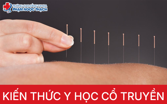 Những kiến thức Y học cổ truyền bạn n&ecirc;n bi&ecirc;́t
