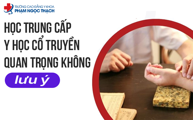 Y học cổ truyền đang dần khẳng định vai trò quan trọng trong chăm sóc sức khỏe hiện đại