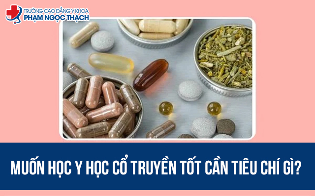 Muốn học Y học cổ truyền tốt cần tiêu chí gì?