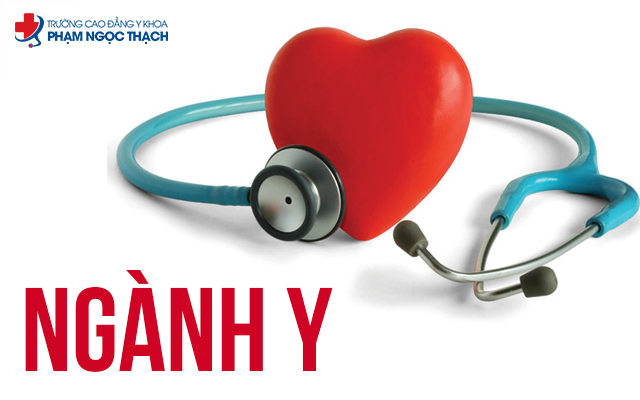 Giới thiệu về ng&agrave;nh Y