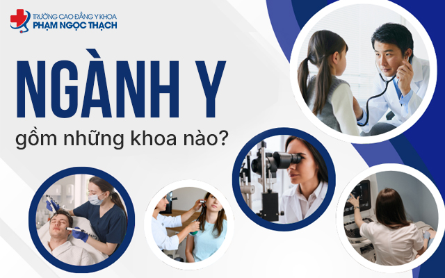 Ng&agrave;nh Y được ph&acirc;n chia l&agrave;m nhiều khoa kh&aacute;c nhau để th&iacute; sinh lựa chọn sao cho ph&ugrave; hợp với khả năng, sở th&iacute;ch v&agrave; định hướng nghề nghiệp