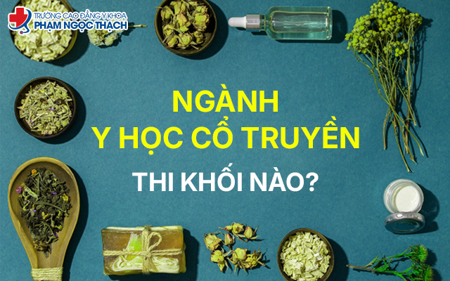 Ng&agrave;nh Y học cổ truyền thi khối n&agrave;o?