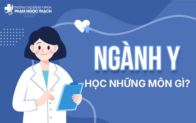 Sinh viên cần nắm rõ các môn học của ngành Y để lên kế hoạch học tập một cách hợp lý