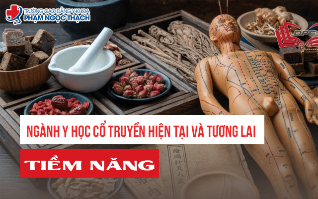 Tiềm năng ng&agrave;nh Y học cổ truyền trong hi&ecirc;̣n tại v&agrave; tương lai