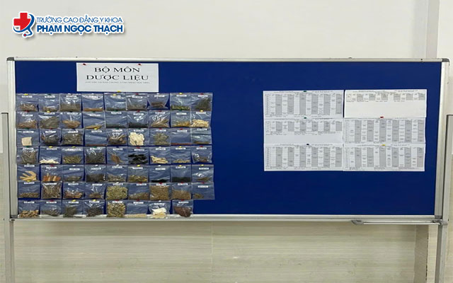 Khám phá từ vựng tiếng Anh chuyên ngành Y học cổ truyền