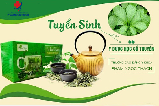 dia-chi-dao-tao-YHCT-uy-tin