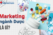 Marketing ngành Dược là gì? Ra trường làm những công việc nào?