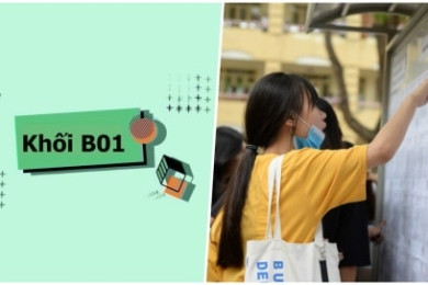 Khối B01 bao gồm những môn, ngành nào? Học ở đâu 2026?