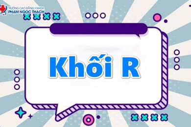 Khối R gồm những môn nào? Ngành nào? Học ở đâu tốt?