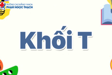 Khối T: Thông tin đầy đủ từ A–Z cho thí sinh yêu thể thao