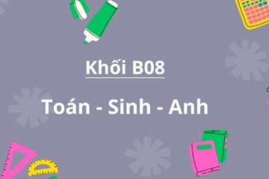 Khối B08 học môn, ngành, trường nào? Cơ hội việc làm ra sao?