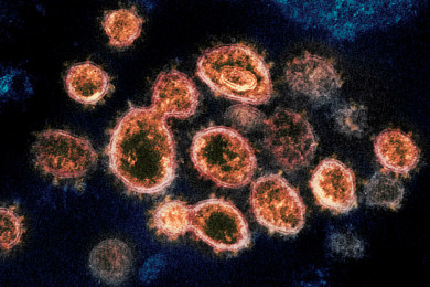 Phát hiện biến thể mới của virus SARS-CoV-2 có khả năng lây lan nguy hiểm