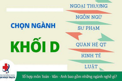 Khối D là gì? Tổng quan kiến thức về khối D đầy đủ chi tiết nhất